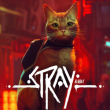 Stray